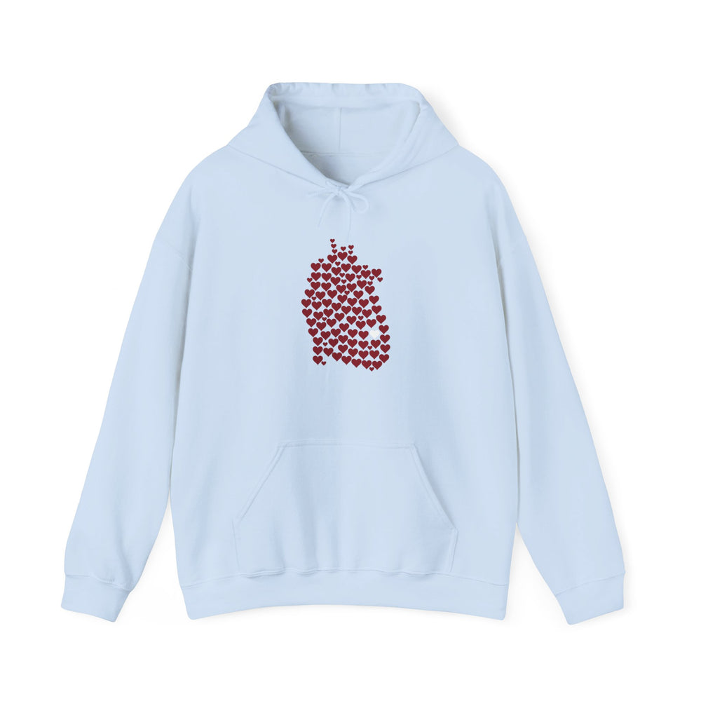 
                  
                    1 in 100 Hearts Hoodie
                  
                